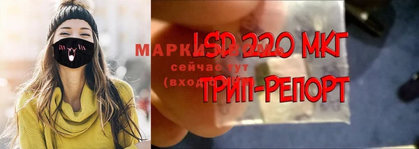 гашик Горно-Алтайск