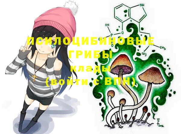 ALPHA-PVP Медногорск
